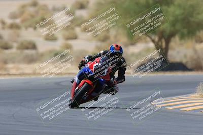 media/May-14-2023-SoCal Trackdays (Sun) [[024eb53b40]]/Turn 5 Tree of Life (1125am)/